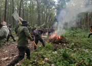 Cegah Karhutla Perhutani KPH Pati adakan Apel Siaga dan Simulasi Penanggulangan Karhutla