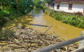 Hujan Deras Akibatkan Tiga Kecamatan di Pati Kebanjiran, Aktivitas Warga Terganggu