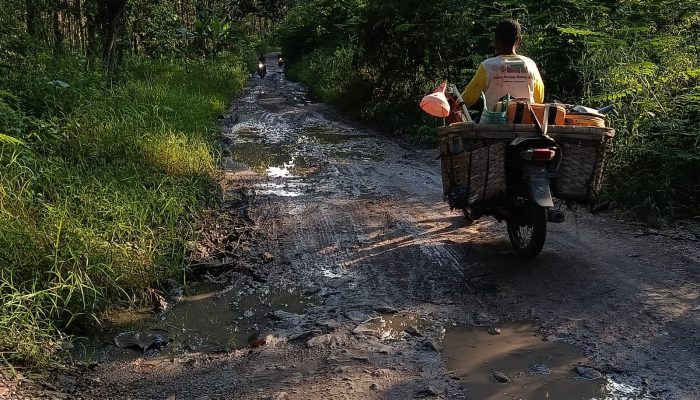 Puluhan Kilometer Jalan Kepoh–Balong Rusak Parah, Warga Desak Pemkab Blora Segera Lakukan Perbaikan
